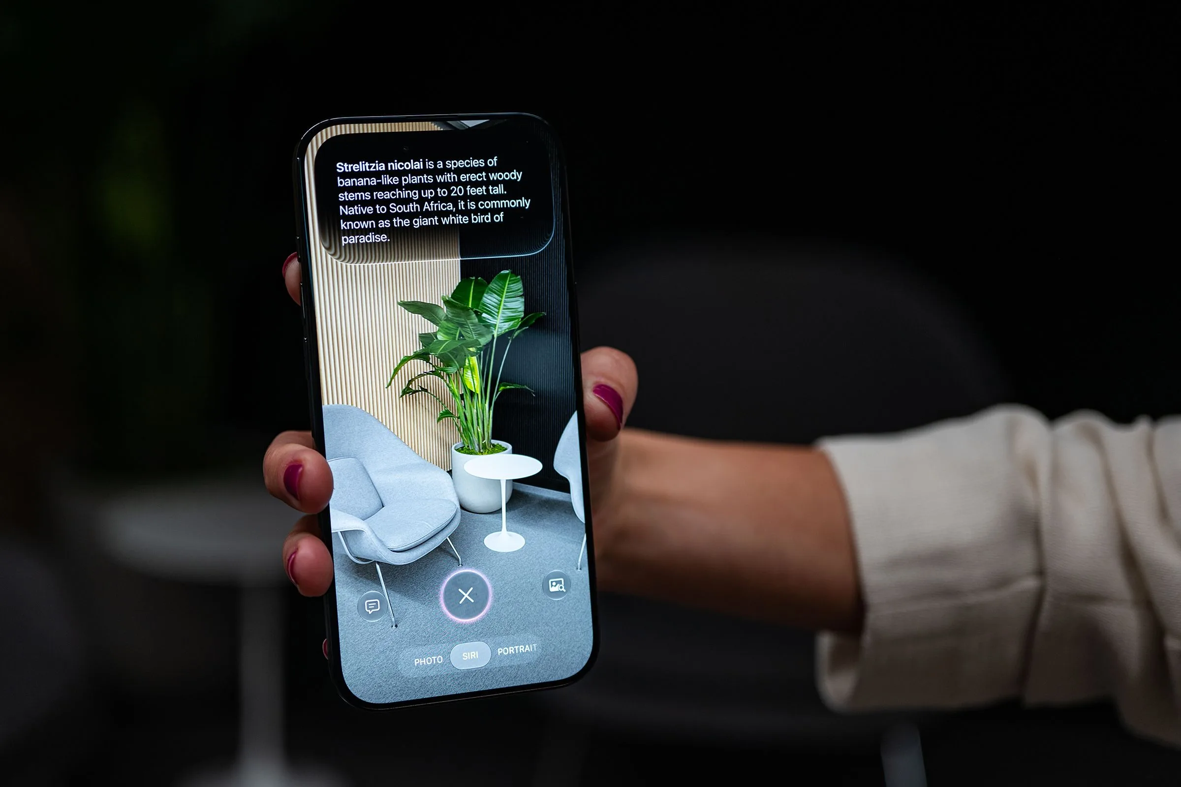 Photo for: Apple's AI Photo Tools Are a Tipping Point, Not a Breakthrough